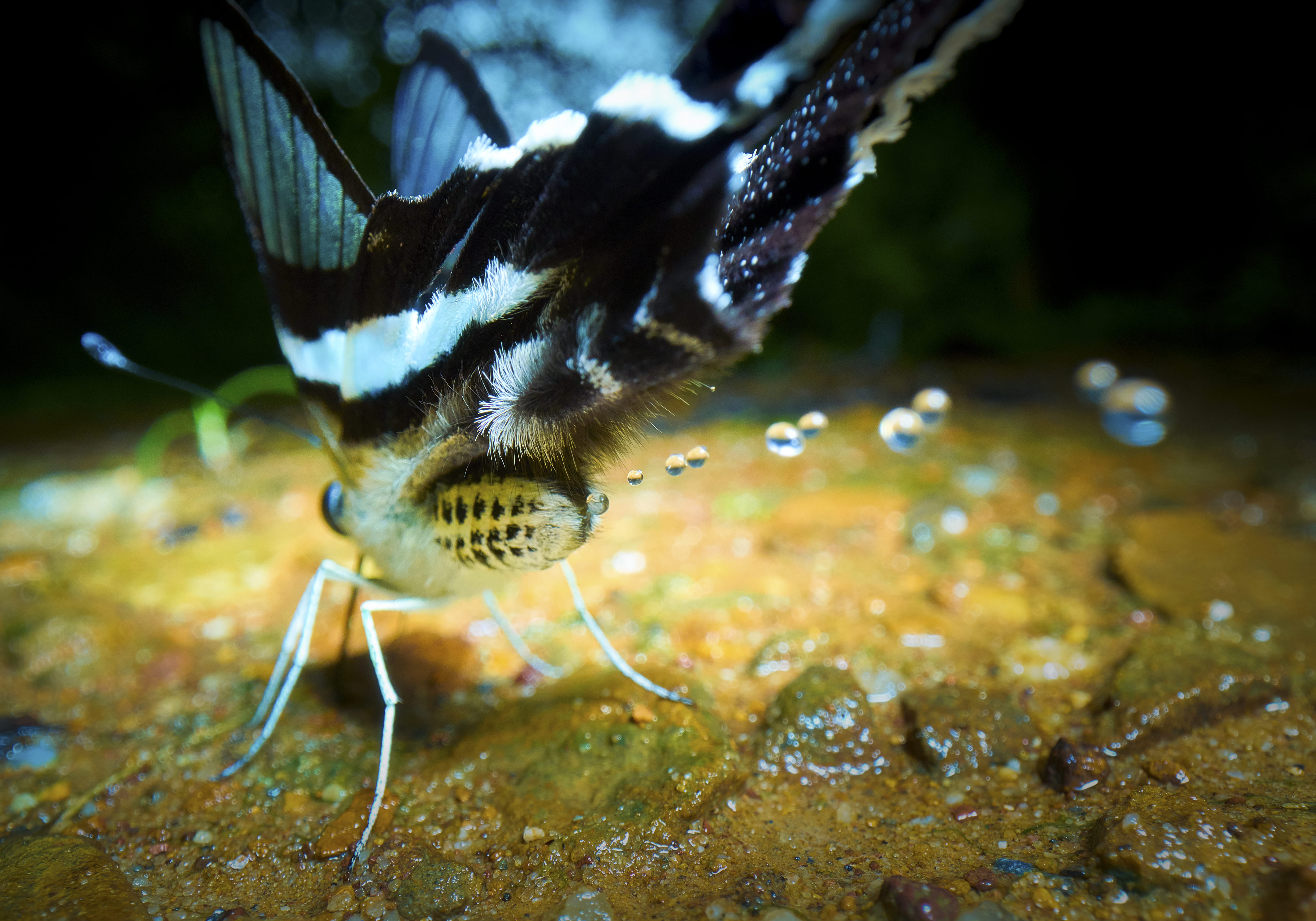 foton photography tokyo