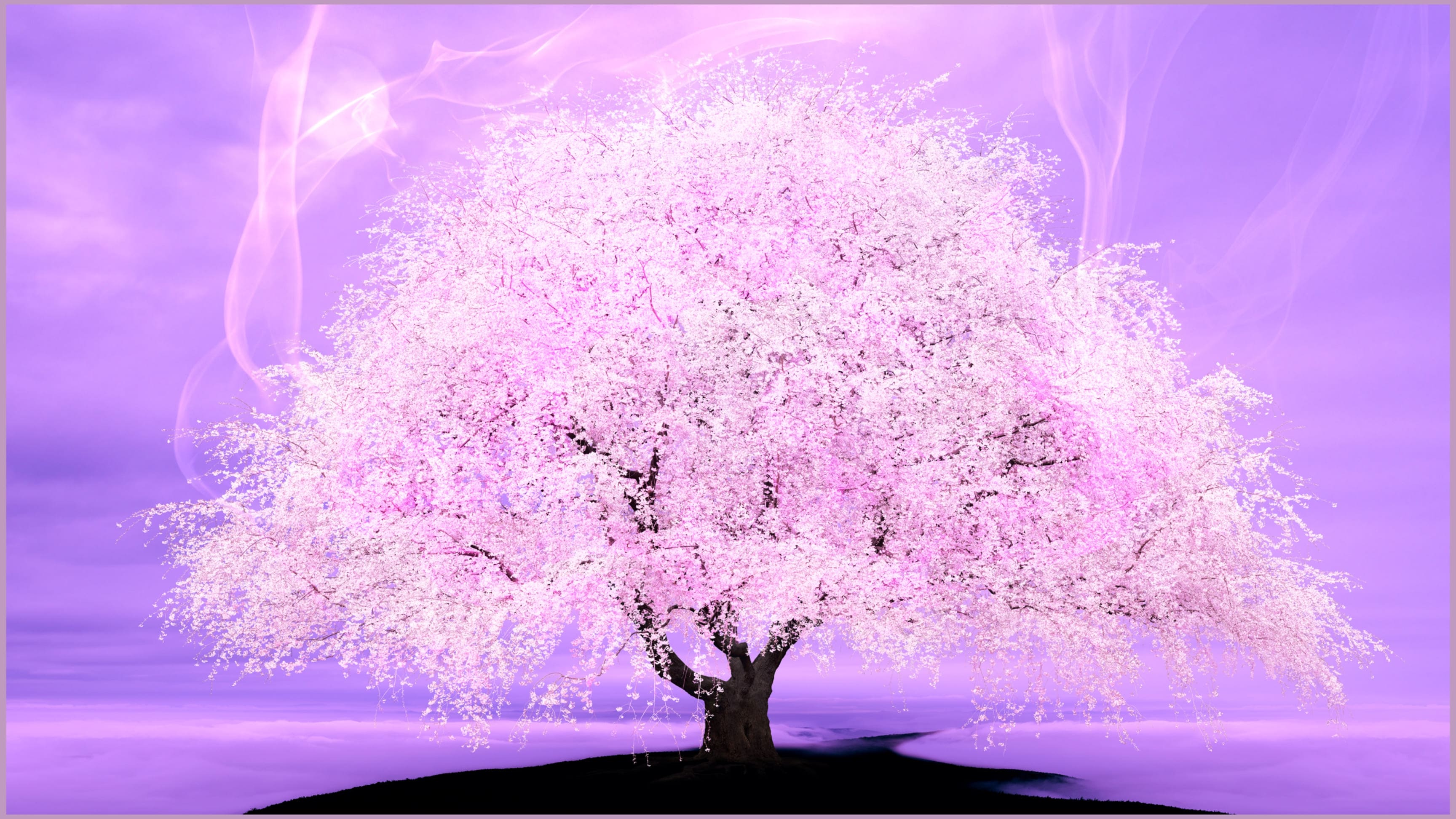 foton photography tokyo