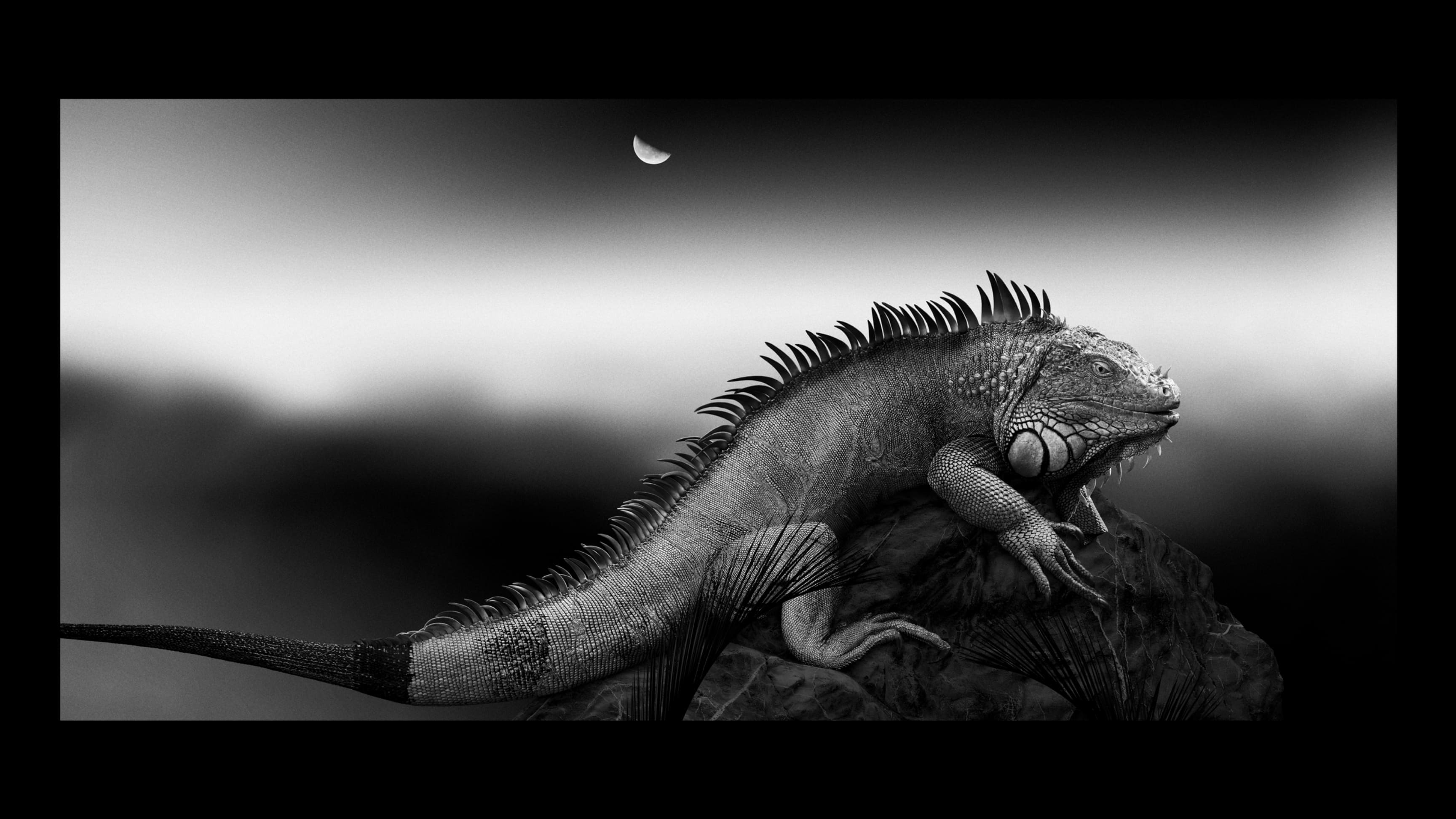 foton photography tokyo